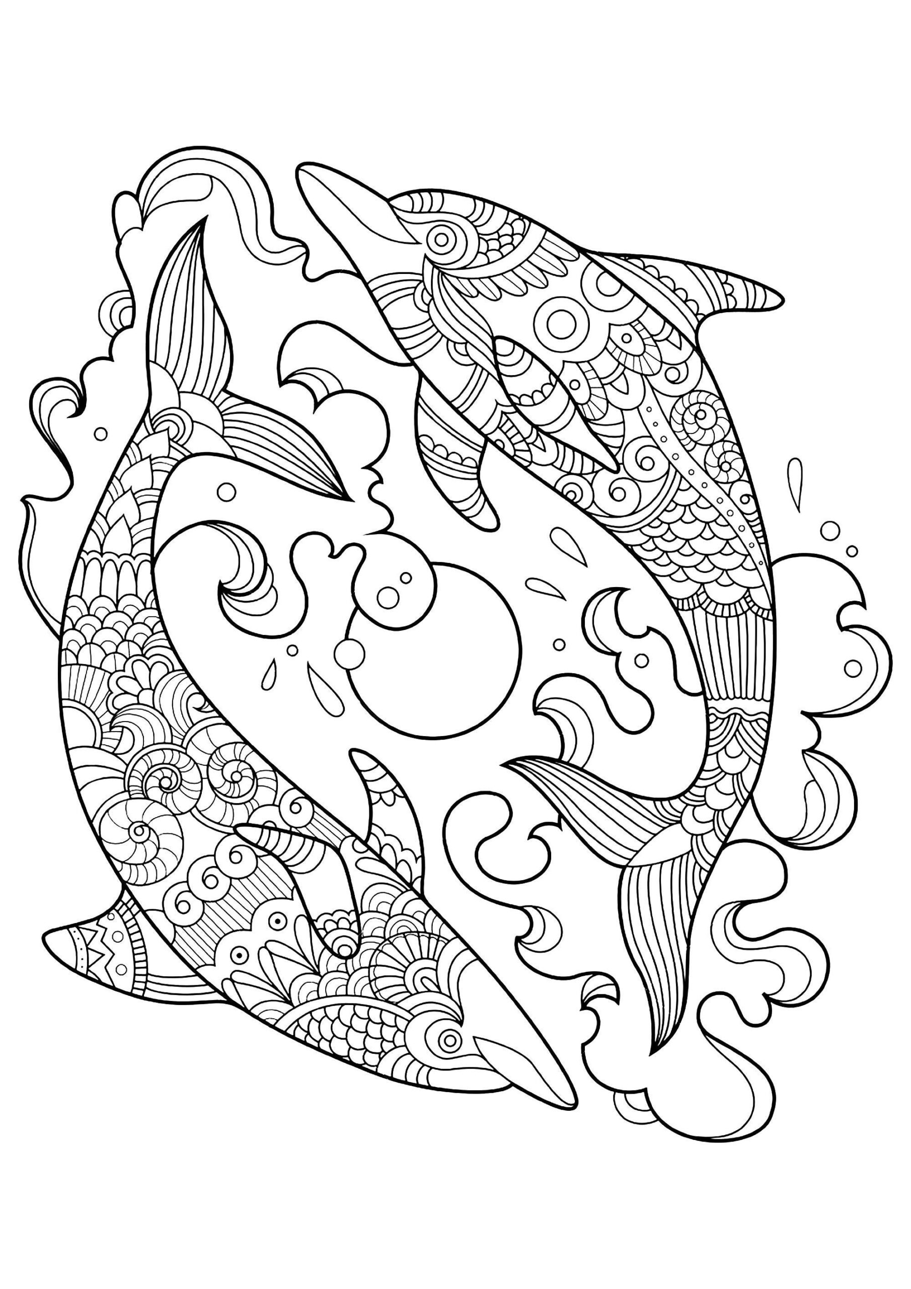 10 Dolphin themed Coloring Pages Etsy 10 Dolphin themed Coloring Pages Etsy