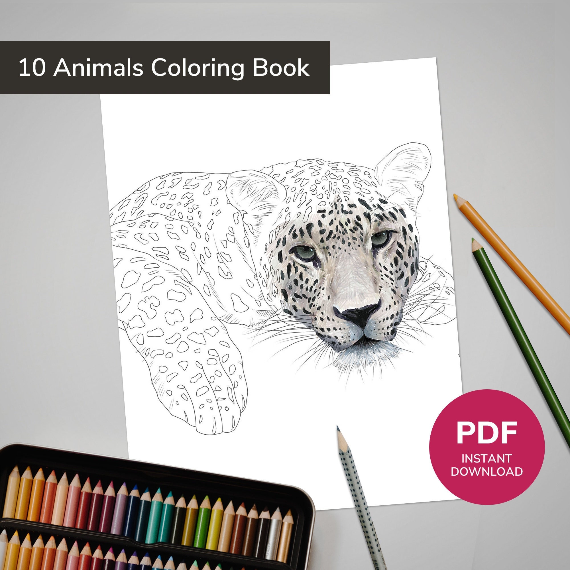 10 Realistic Animal Coloring Book Wildlife Coloring Pages Wild Animal Coloring Illustrations For Adult Kids And Teens INSTANT DOWNLOAD Etsy 10 Realistic Animal Coloring Book Wildlife Coloring Pages Wild Animal Coloring Illustrations For Adult Kids And Teens INSTANT DOWNLOAD Etsy