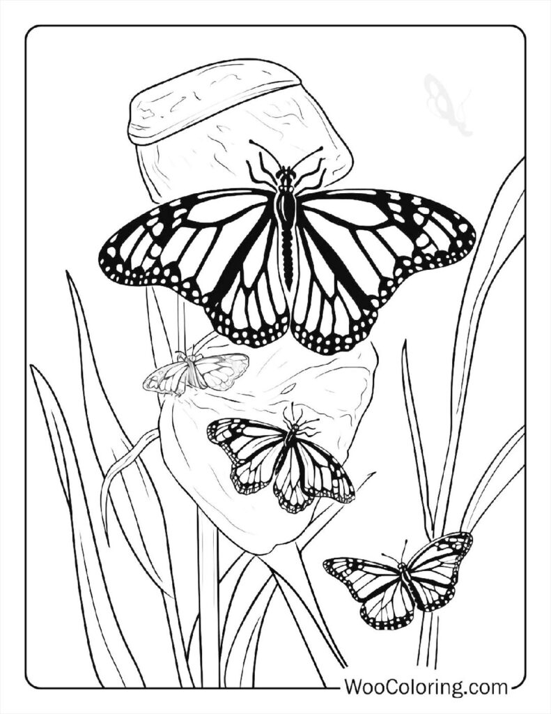 100 Butterfly Coloring Pages Free PDF To Print Woo Coloring