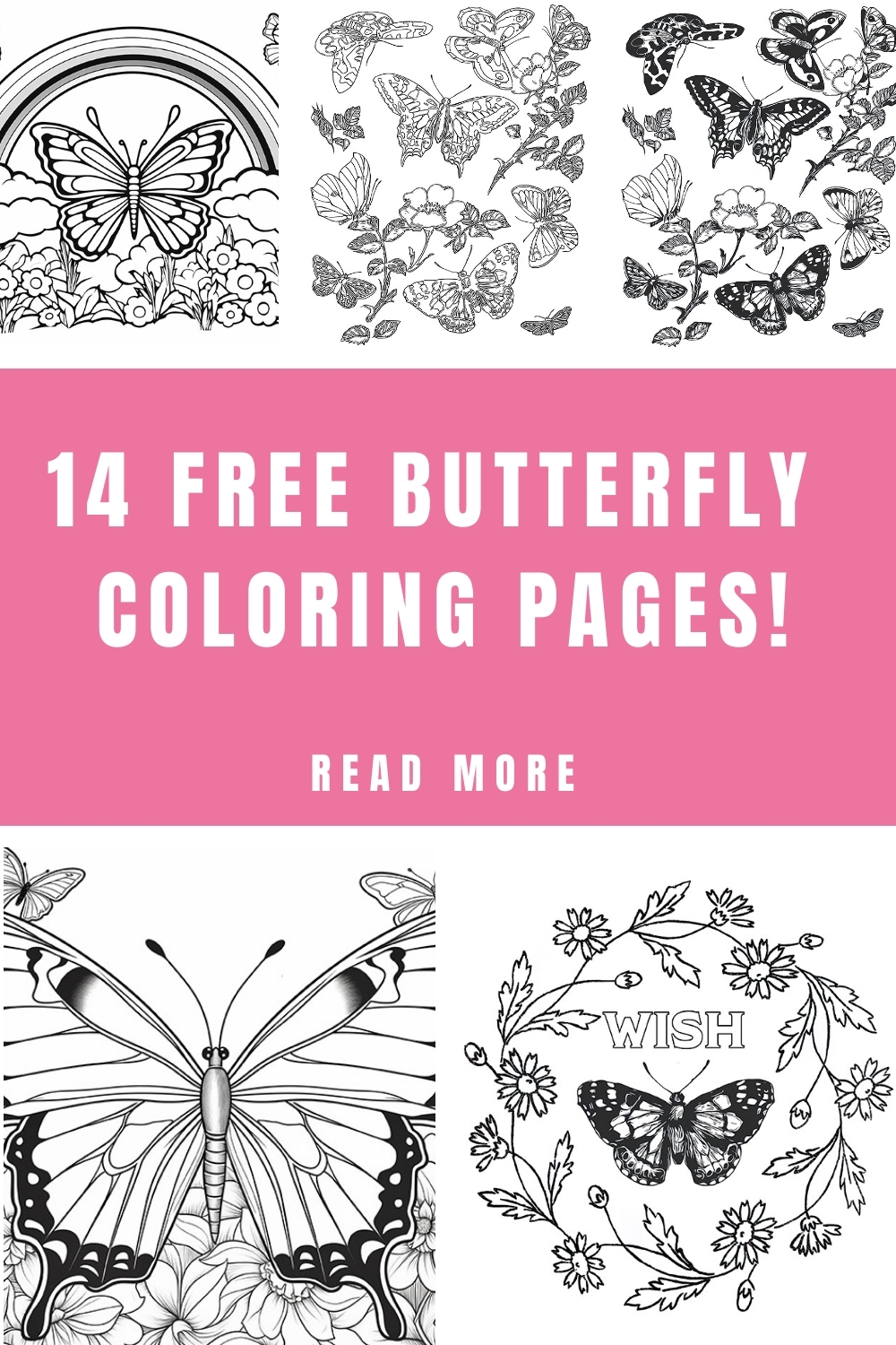 15 Butterfly Coloring Pages For Adults The Graphics Fairy