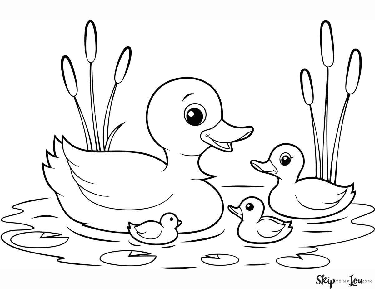 duck colouring in pages duck colouring in pages