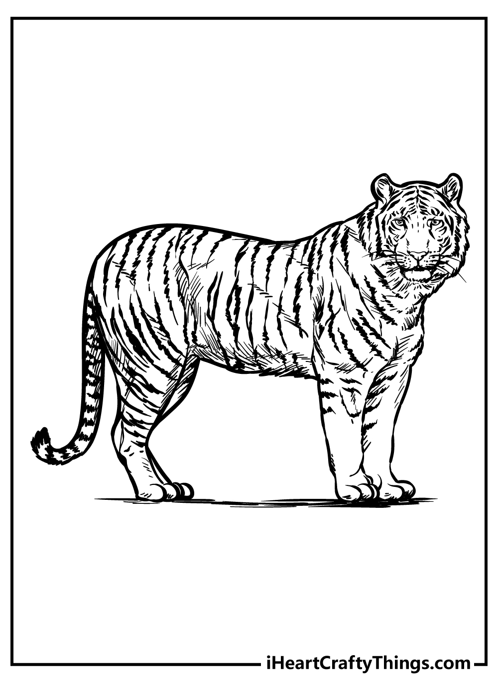 200 Zoo Animals Coloring Pages 100 Free Printables  200 Zoo Animals Coloring Pages 100 Free Printables
