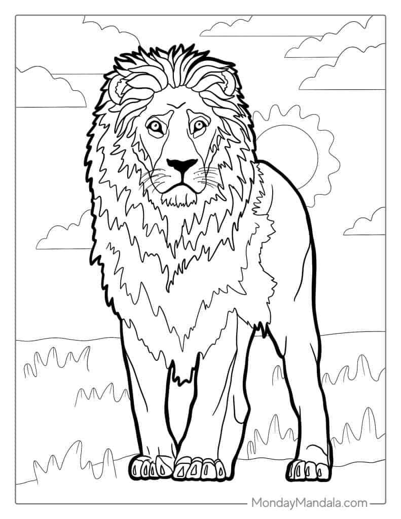 lion coloring book page lion coloring book page