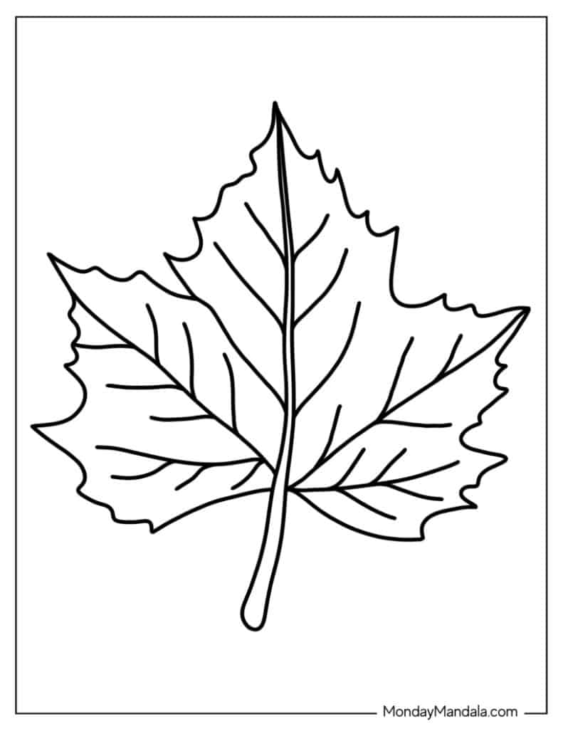 34 Leaf Coloring Pages Free PDF Printables Worksheets Library 34 Leaf Coloring Pages Free PDF Printables Worksheets Library