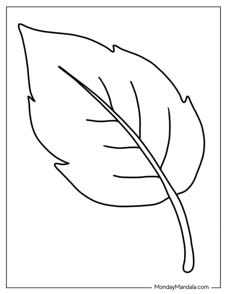 leaf pictures to color leaf pictures to color