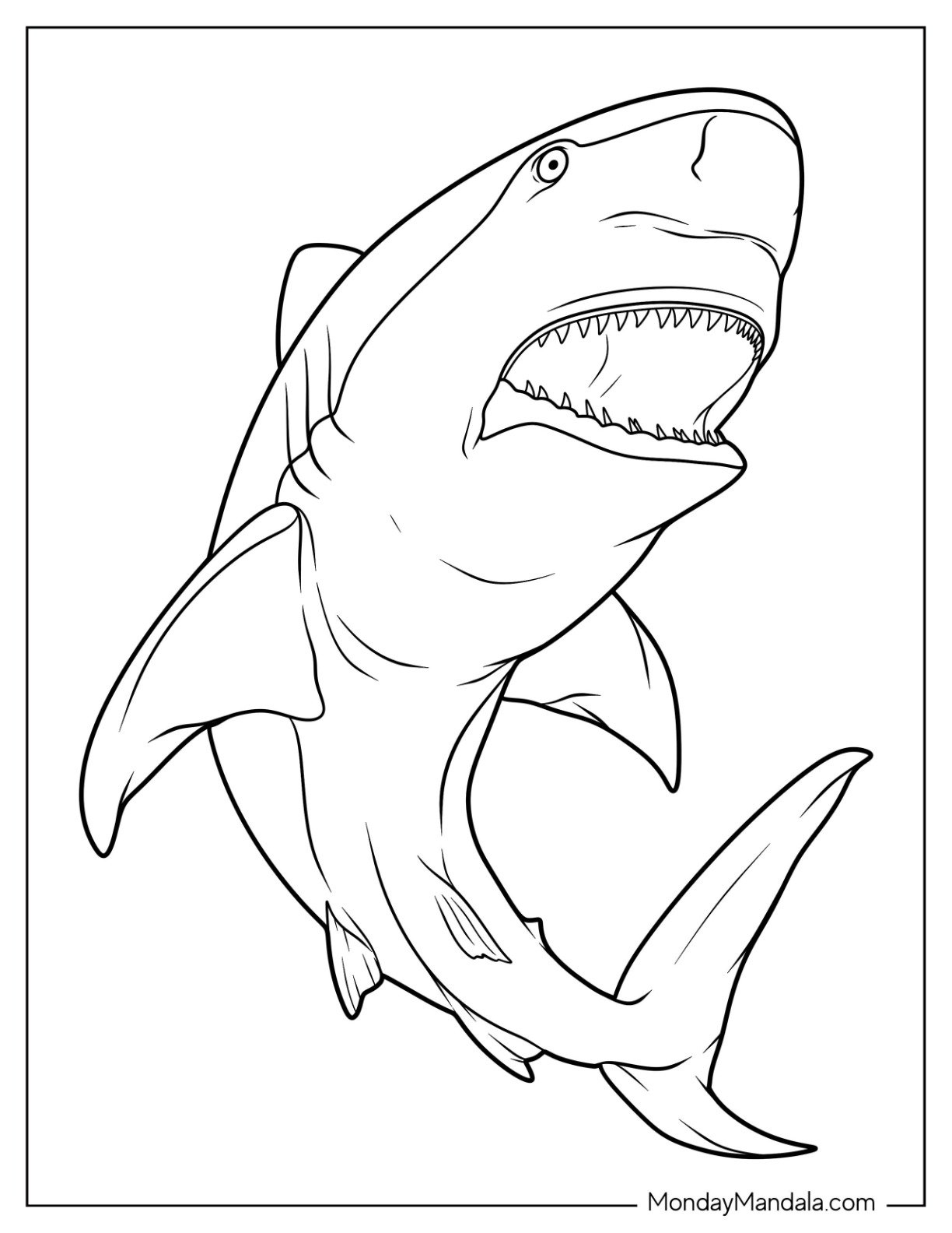 34 Shark Coloring Pages Free PDF Printables  34 Shark Coloring Pages Free PDF Printables