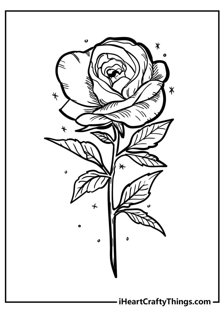 35 Rose Coloring Pages 100 Free To Download Print  35 Rose Coloring Pages 100 Free To Download Print