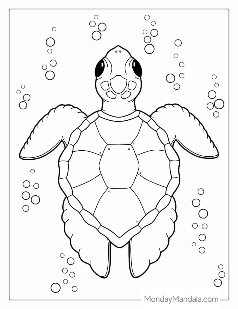 36 Turtle Coloring Pages Free PDF Printables  36 Turtle Coloring Pages Free PDF Printables