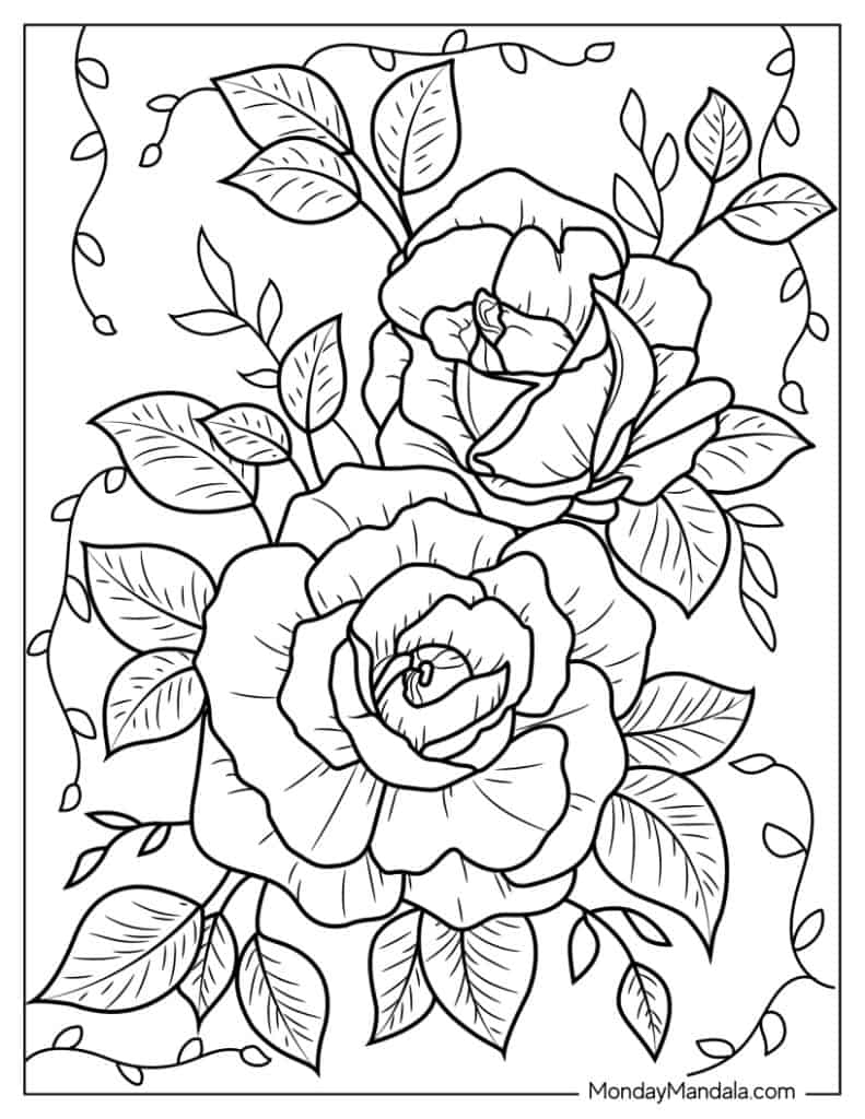 coloring pictures of roses coloring pictures of roses