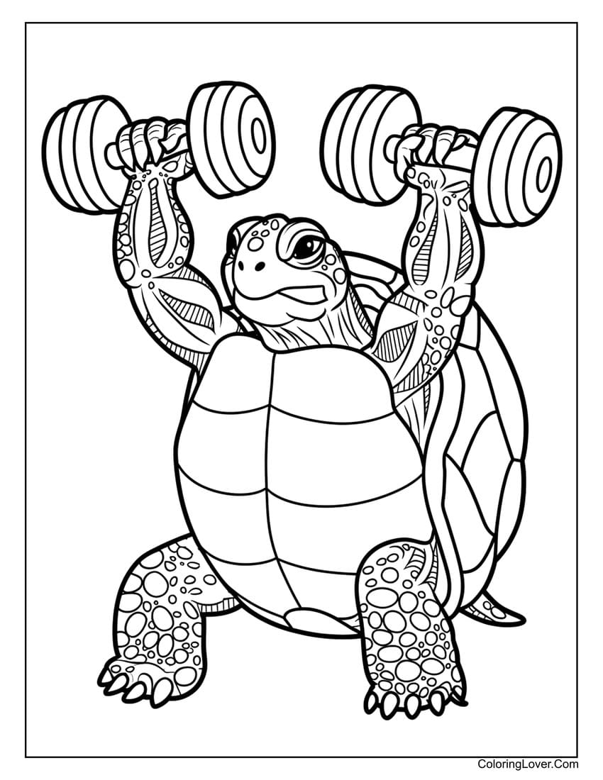 coloring pictures of a turtle coloring pictures of a turtle