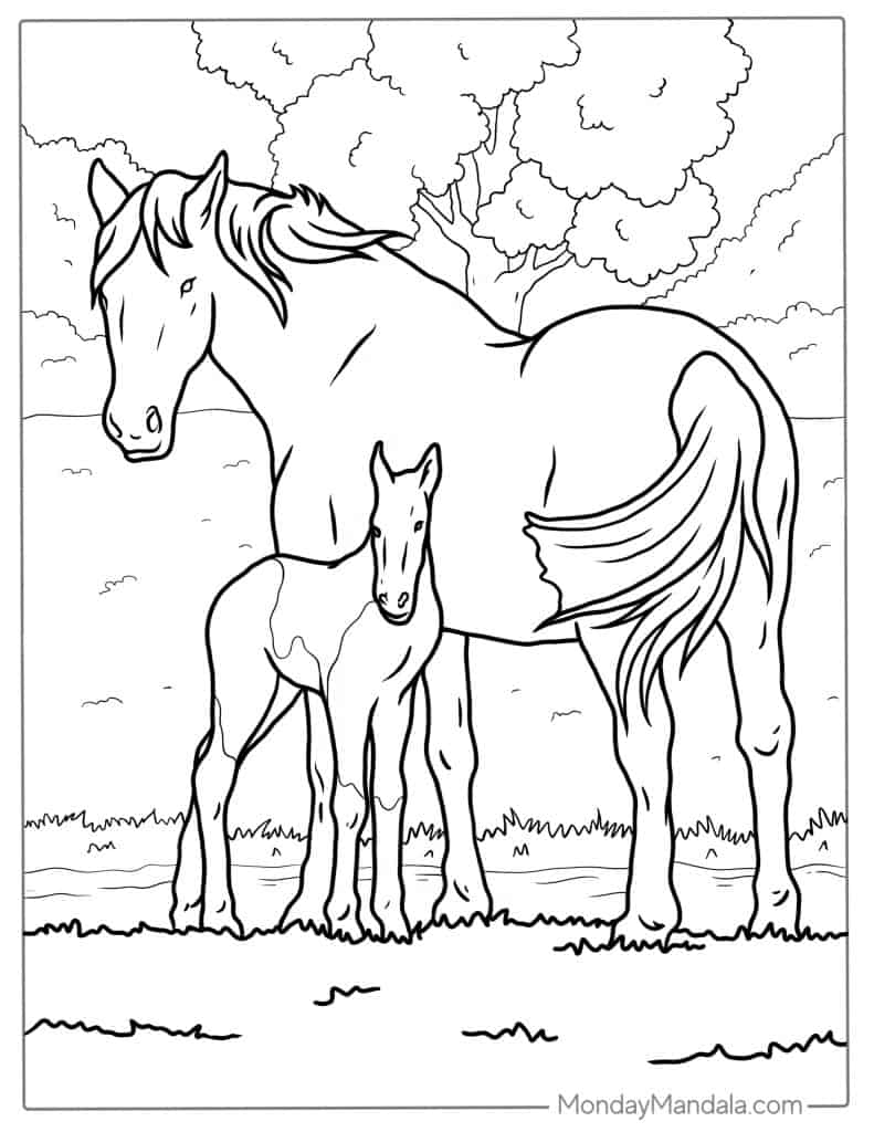 50 Horse Coloring Pages Free Printable Sheets Worksheets Library