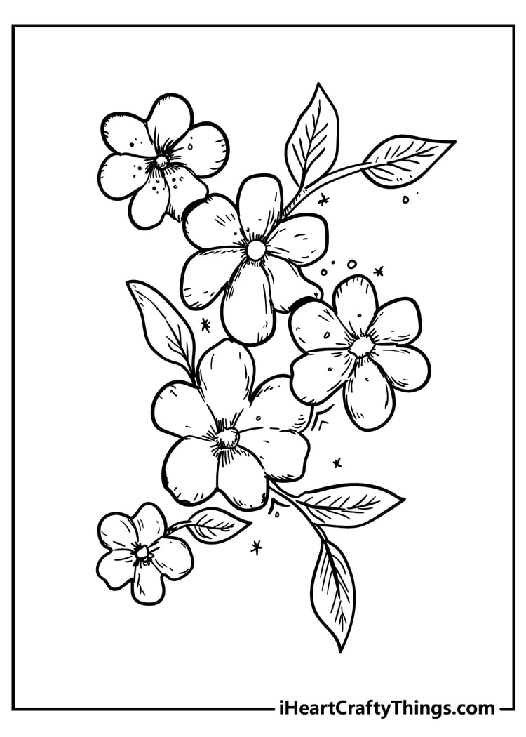 52 Flower Coloring Pages Easy Free Printable PDFs For Kids  52 Flower Coloring Pages Easy Free Printable PDFs For Kids