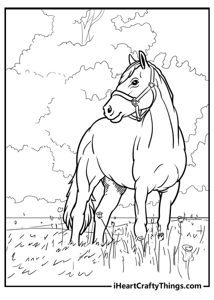 horses coloring pages printable horses coloring pages printable