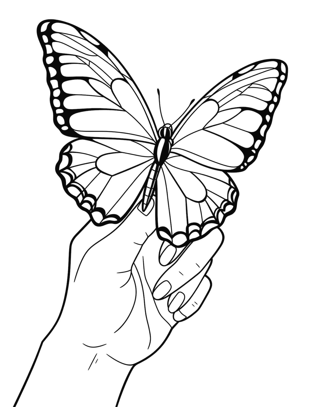coloring pages for adults butterflies