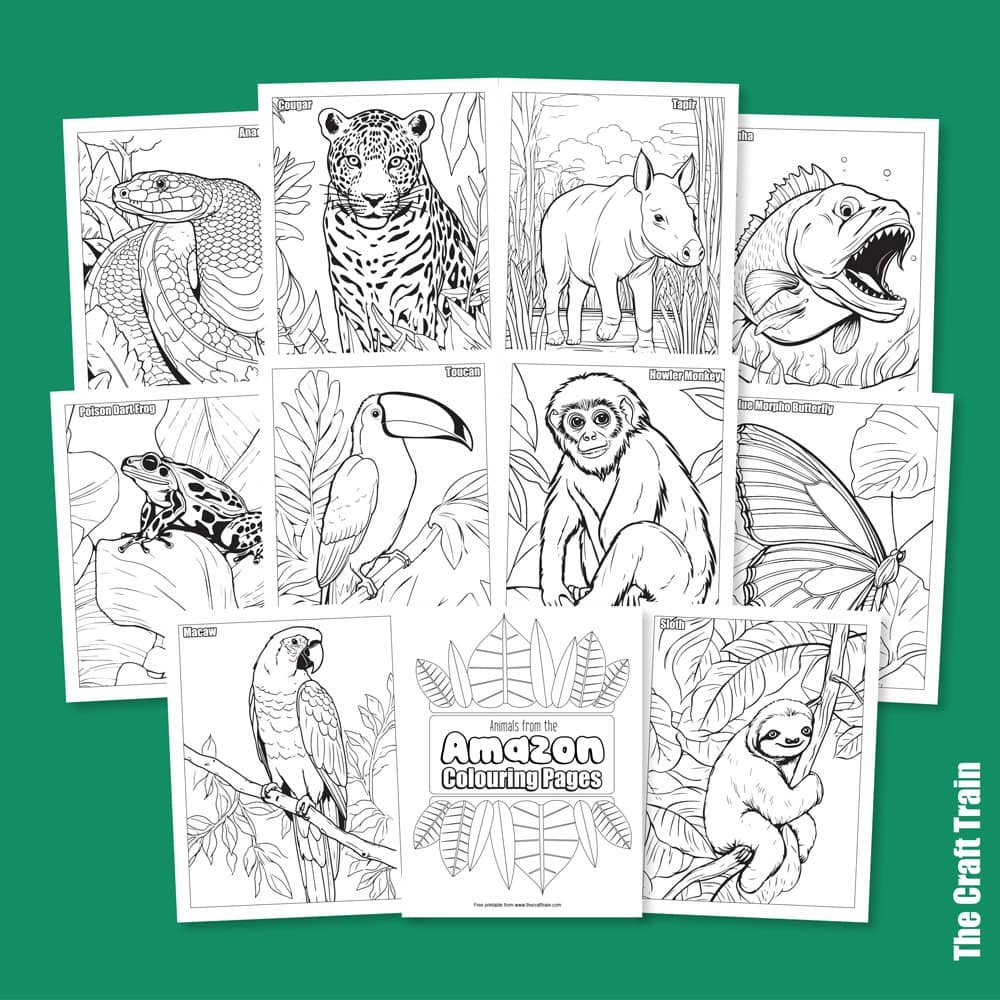 Amazon Animal Colouring Pages The Craft Train