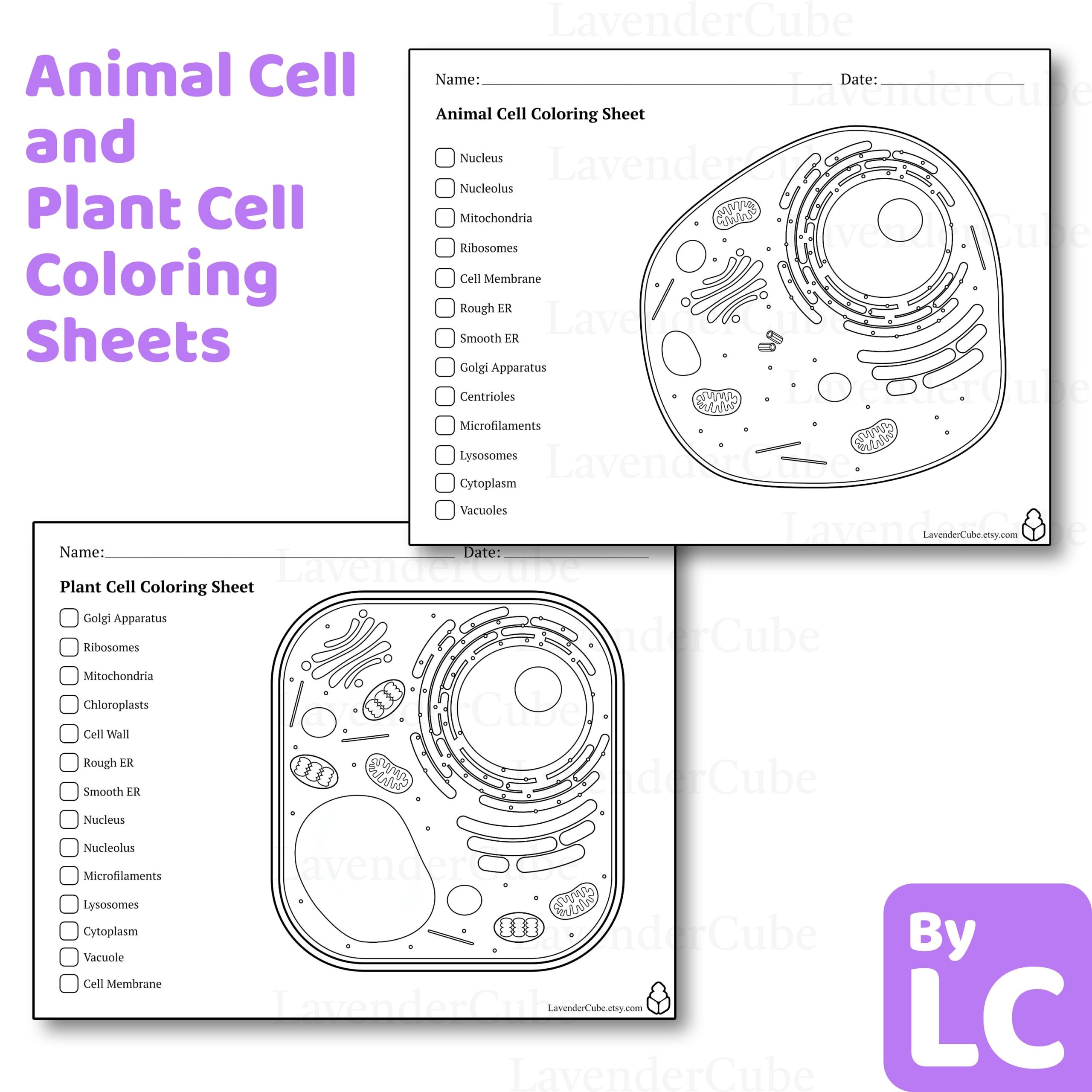 Animal And Plant Cell Coloring Worksheets Digital Download 300 DPI Png Etsy Israel Animal And Plant Cell Coloring Worksheets Digital Download 300 DPI Png Etsy Israel