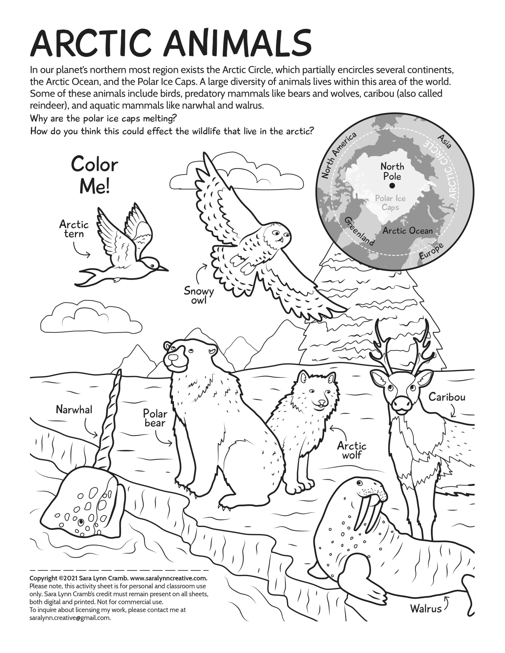arctic animal coloring pages arctic animal coloring pages