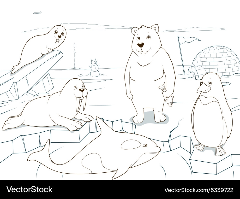 Arctic Animals Coloring Page Royalty Free Vector Image Arctic Animals Coloring Page Royalty Free Vector Image