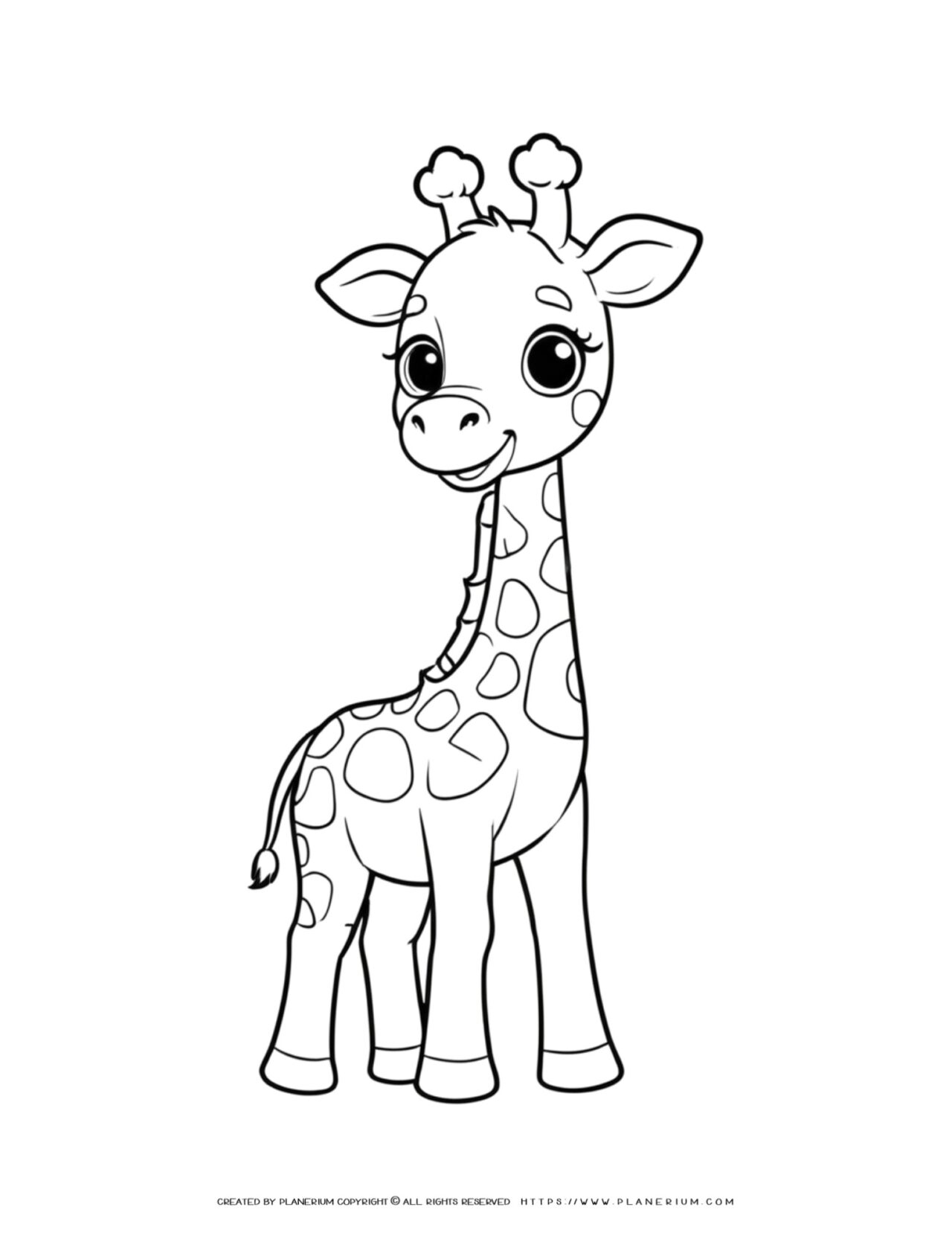 coloring sheets of giraffes coloring sheets of giraffes