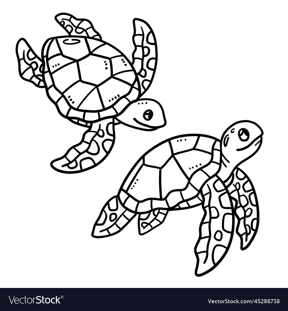 Baby Turtle Isolated Coloring Page For Kids Vector Image Baby Turtle Isolated Coloring Page For Kids Vector Image