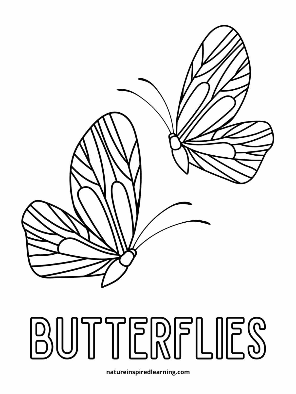Beautiful Butterfly Coloring Pages Nature Inspired Learning Beautiful Butterfly Coloring Pages Nature Inspired Learning
