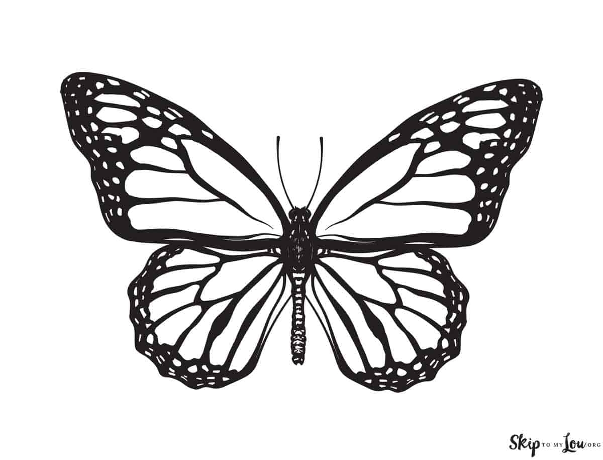 Beautiful Butterfly Coloring Pages To Download And Print Skip To My Lou Beautiful Butterfly Coloring Pages To Download And Print Skip To My Lou