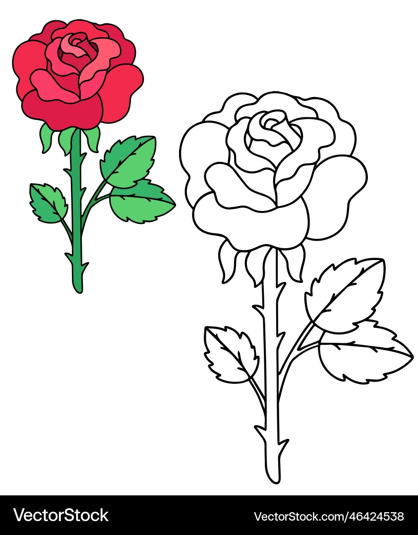 Beautiful Red Rose Coloring Book Royalty Free Vector Image Beautiful Red Rose Coloring Book Royalty Free Vector Image
