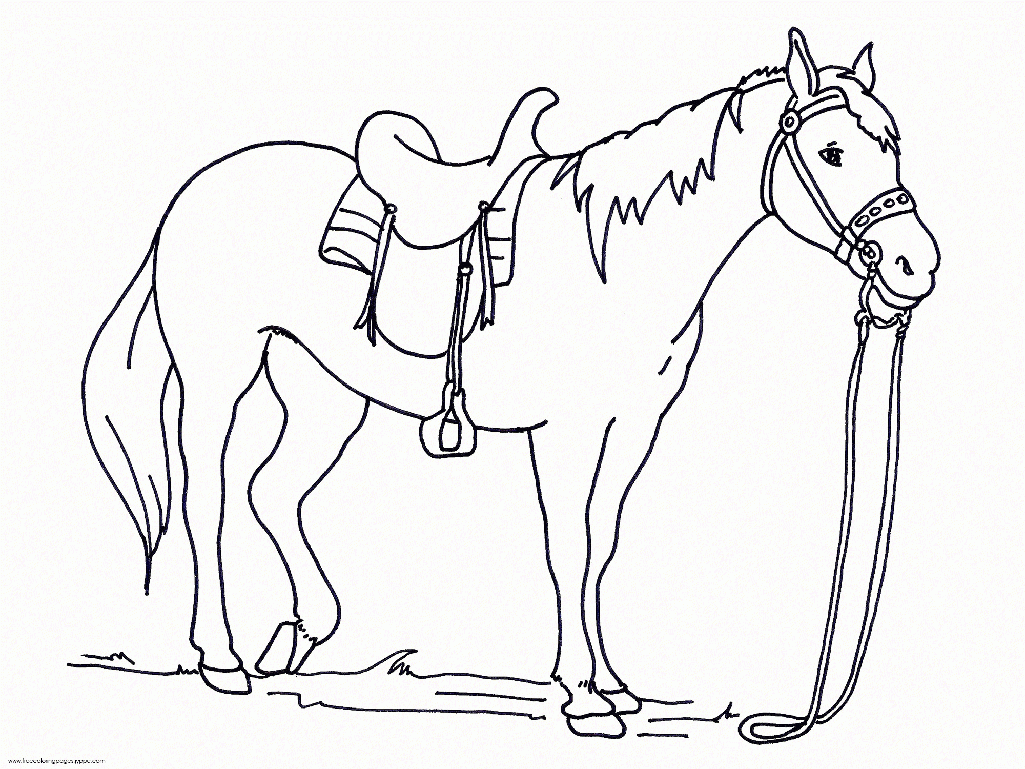 printable horse colouring pages printable horse colouring pages