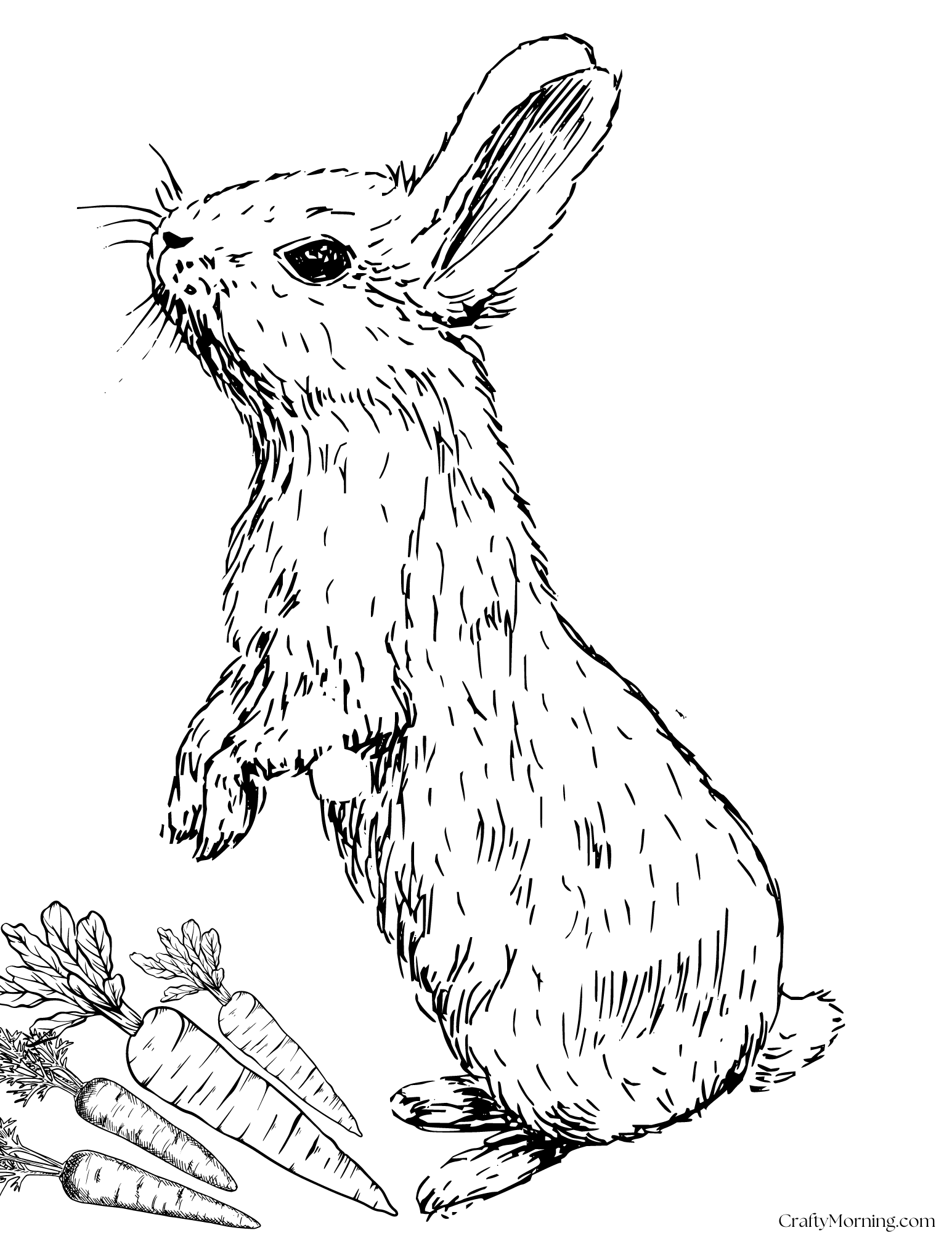Bunny Coloring Pages To Print Crafty Morning Bunny Coloring Pages To Print Crafty Morning