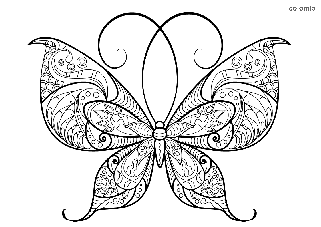 free butterfly coloring sheets free butterfly coloring sheets