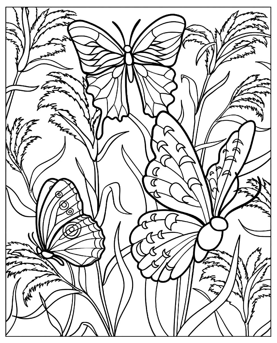 Butterflies Coloring To Download For Free Butterfly Coloring Pages Butterflies Coloring To Download For Free Butterfly Coloring Pages