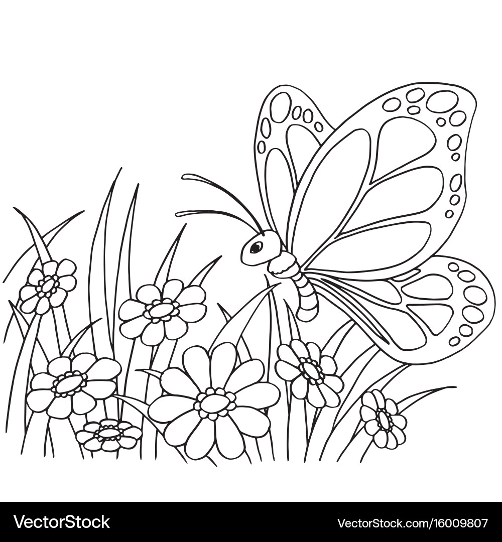 Butterfly And Flower Coloring Page Royalty Free Vector Image Butterfly And Flower Coloring Page Royalty Free Vector Image