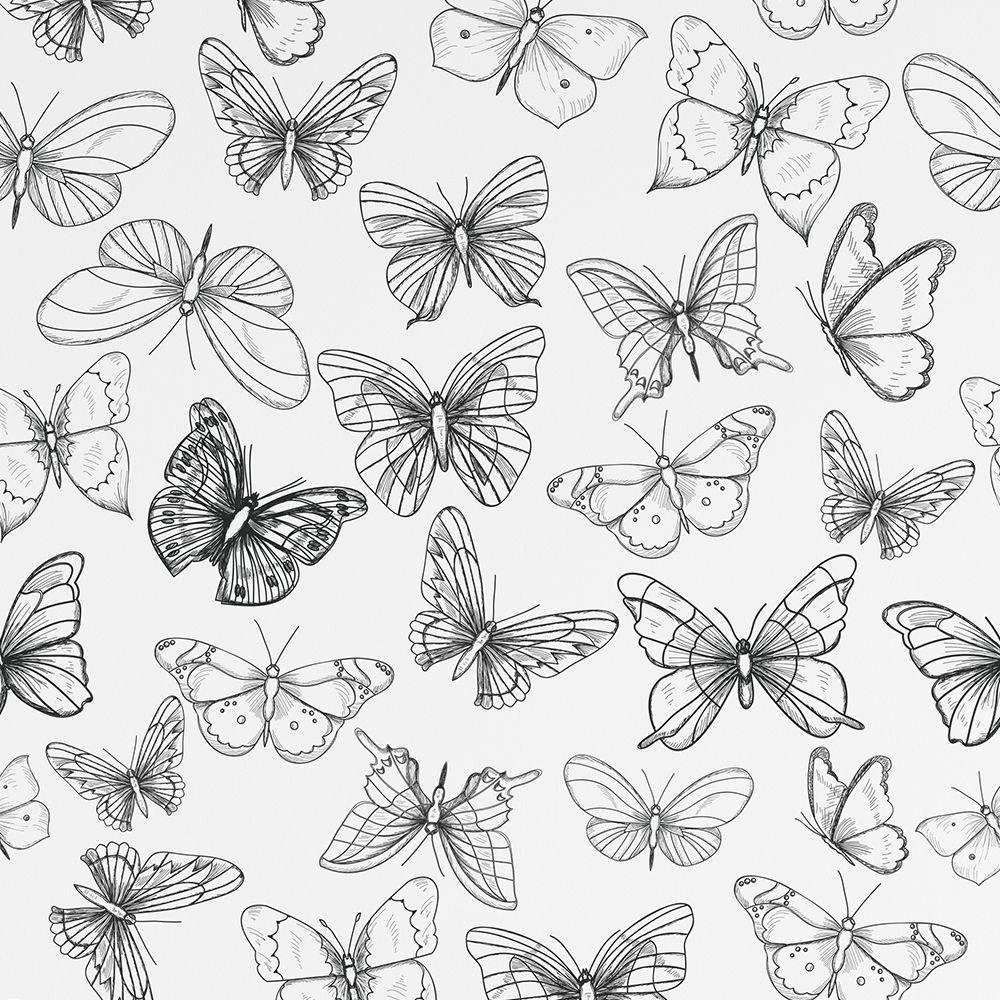 Butterfly Color Book Dizzy With Excitement DW E DW E Wallpaper Collections Butterfly Color Book Dizzy With Excitement DW E DW E Wallpaper Collections