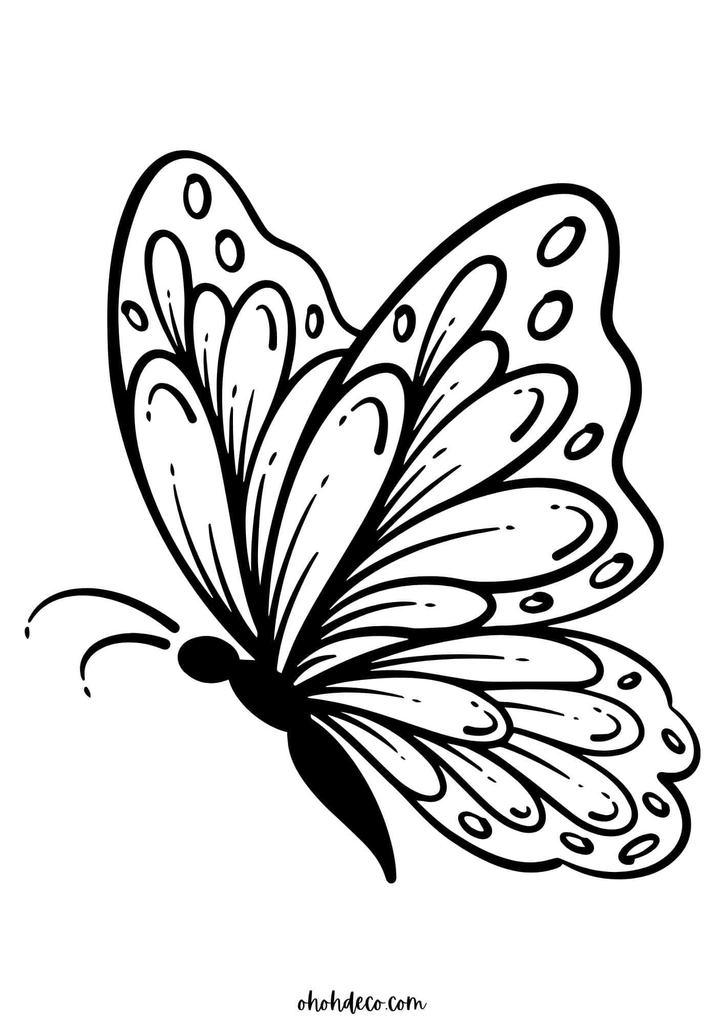 butterfly picture to color butterfly picture to color
