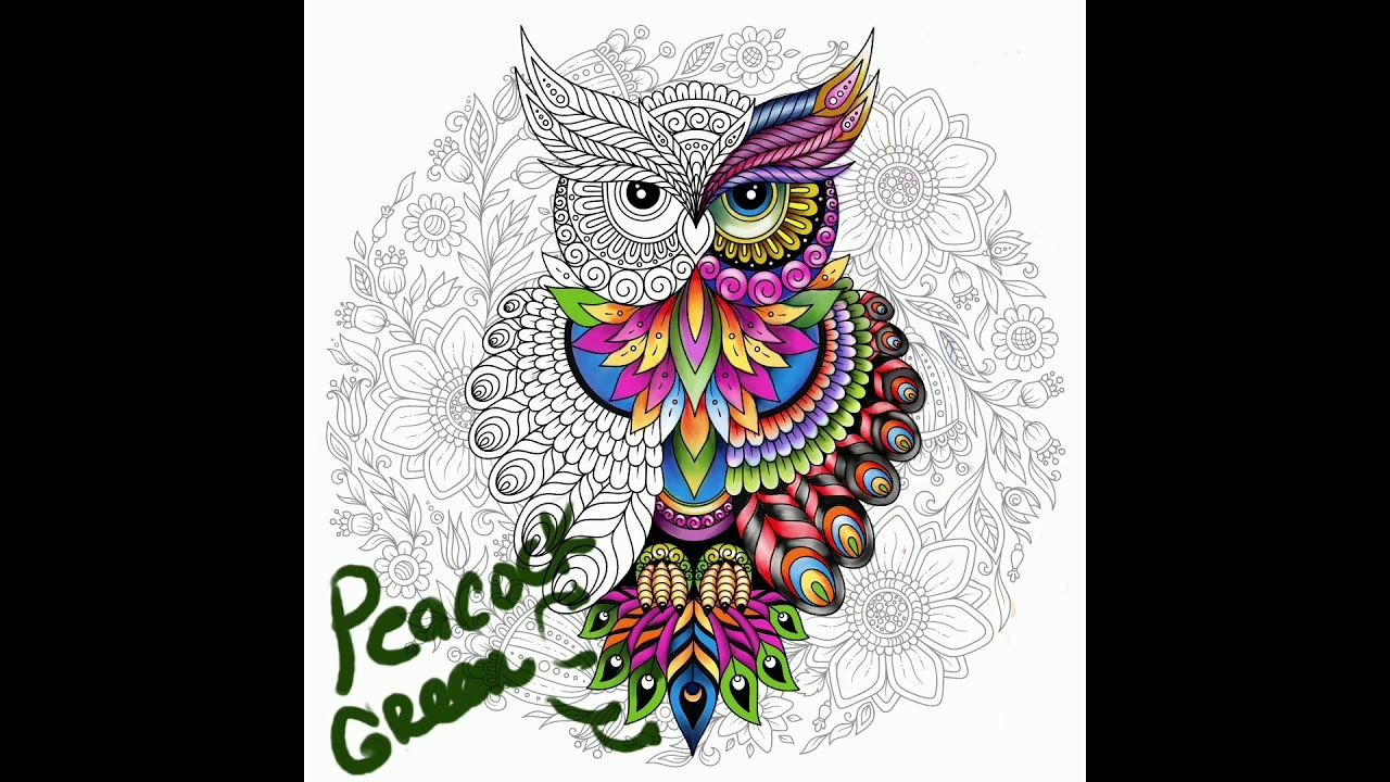 Coloring A Owl Lisa Brando Owl Coloring Page 1 Prismacolor Procreate YouTube Coloring A Owl Lisa Brando Owl Coloring Page 1 Prismacolor Procreate YouTube