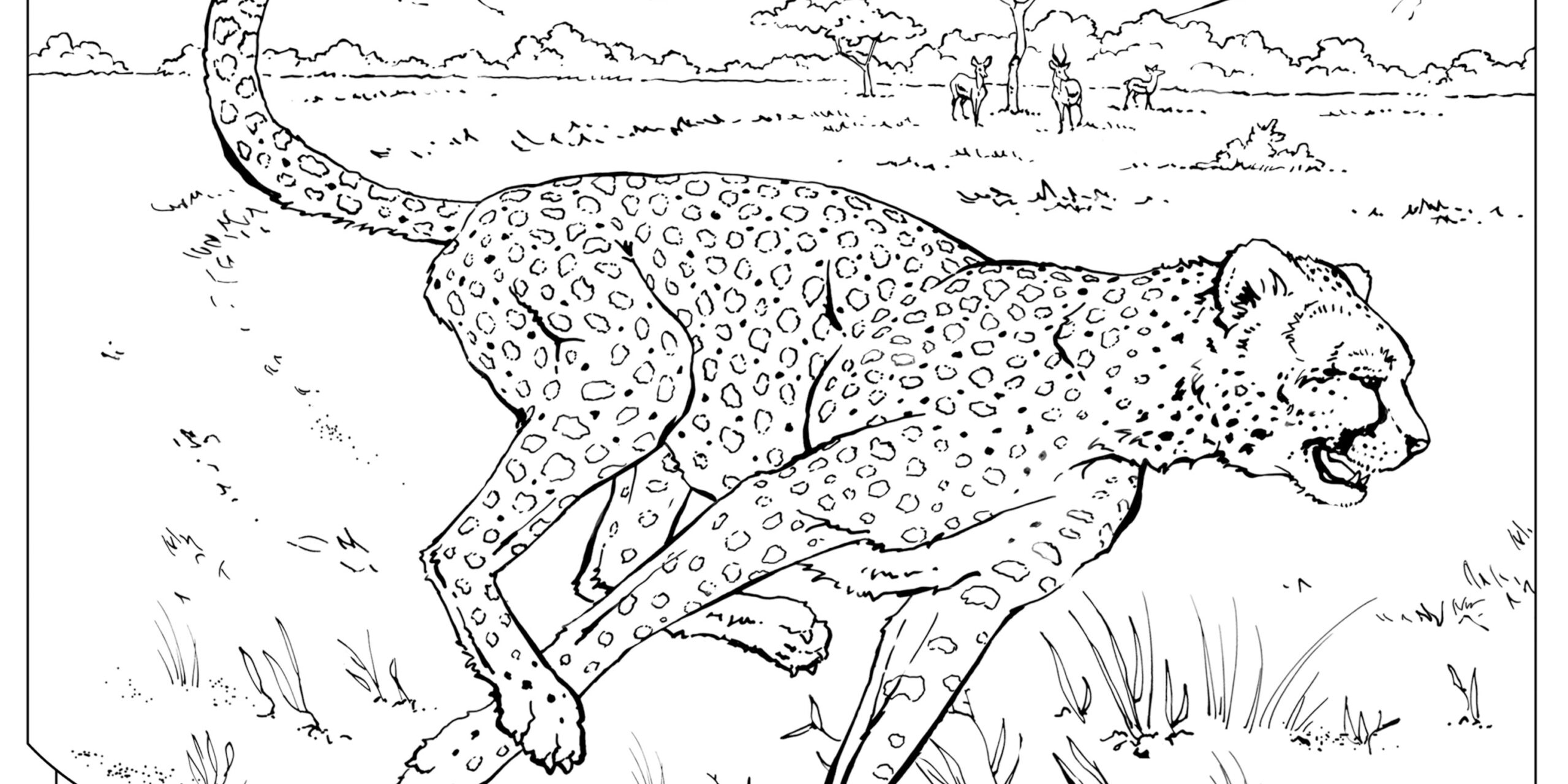 wildlife animal coloring pages wildlife animal coloring pages