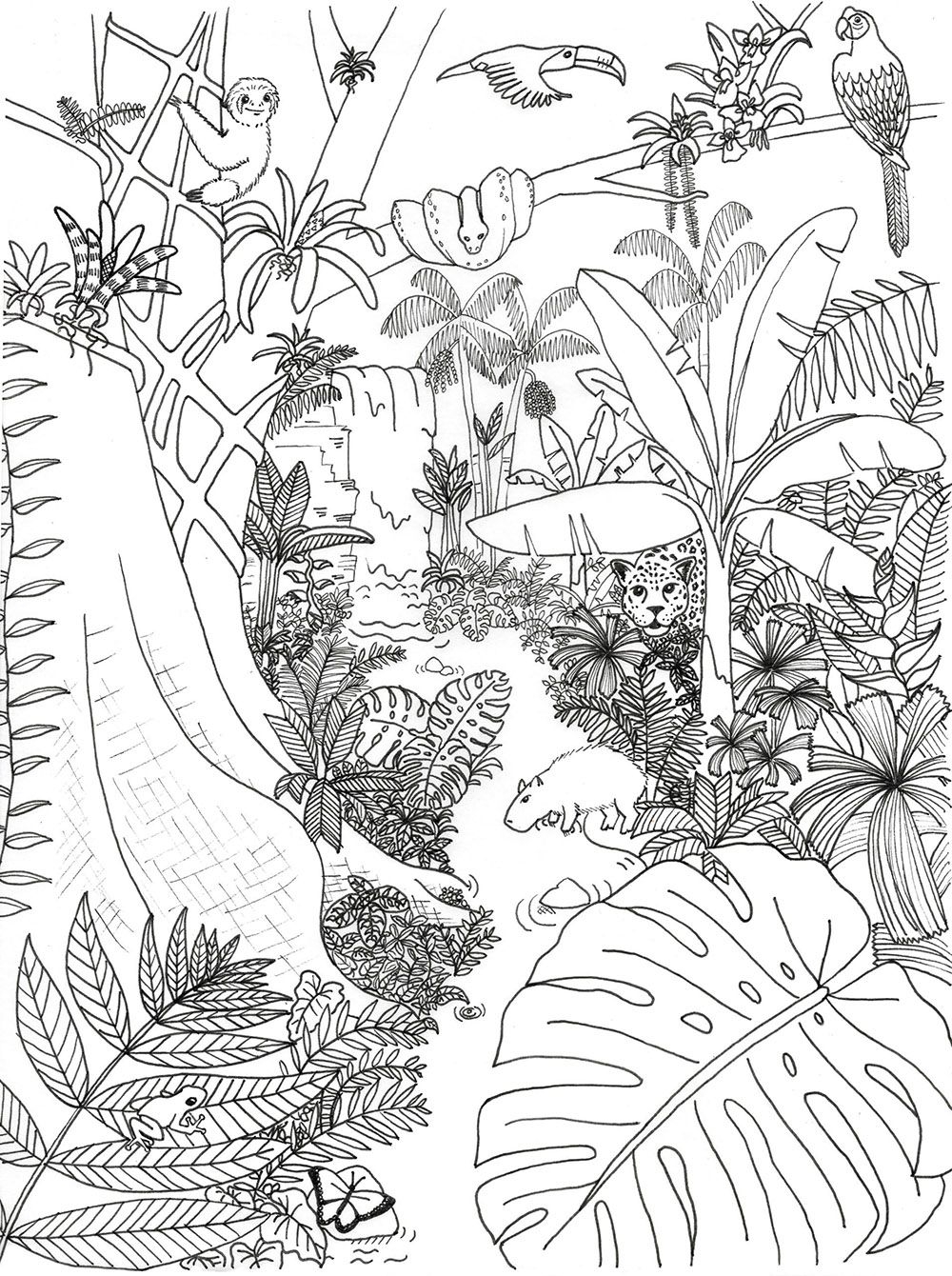 Coloring Pages Archives Rainforest Alliance Worksheets Library Coloring Pages Archives Rainforest Alliance Worksheets Library