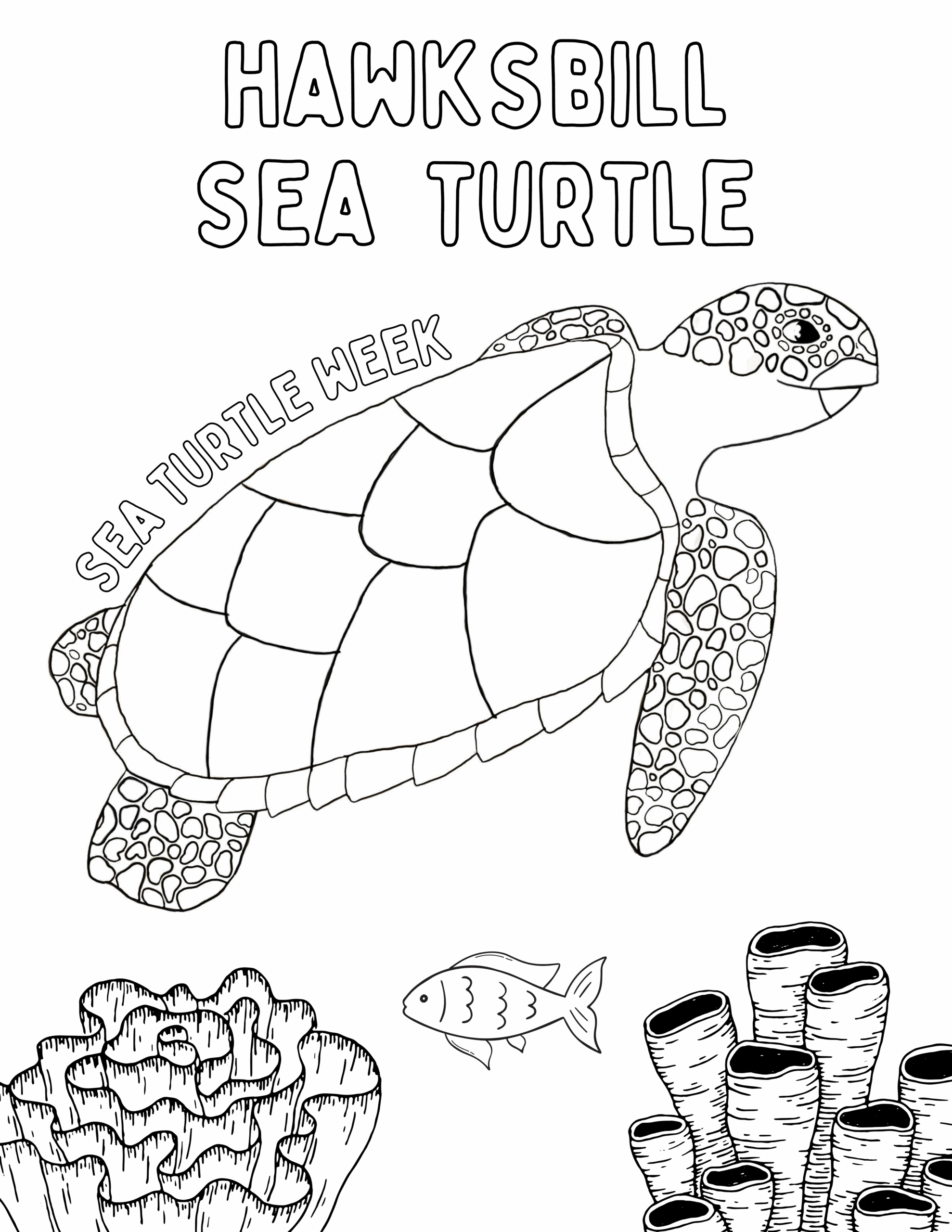 Coloring Sheets SeaTurtleWeek Coloring Sheets SeaTurtleWeek