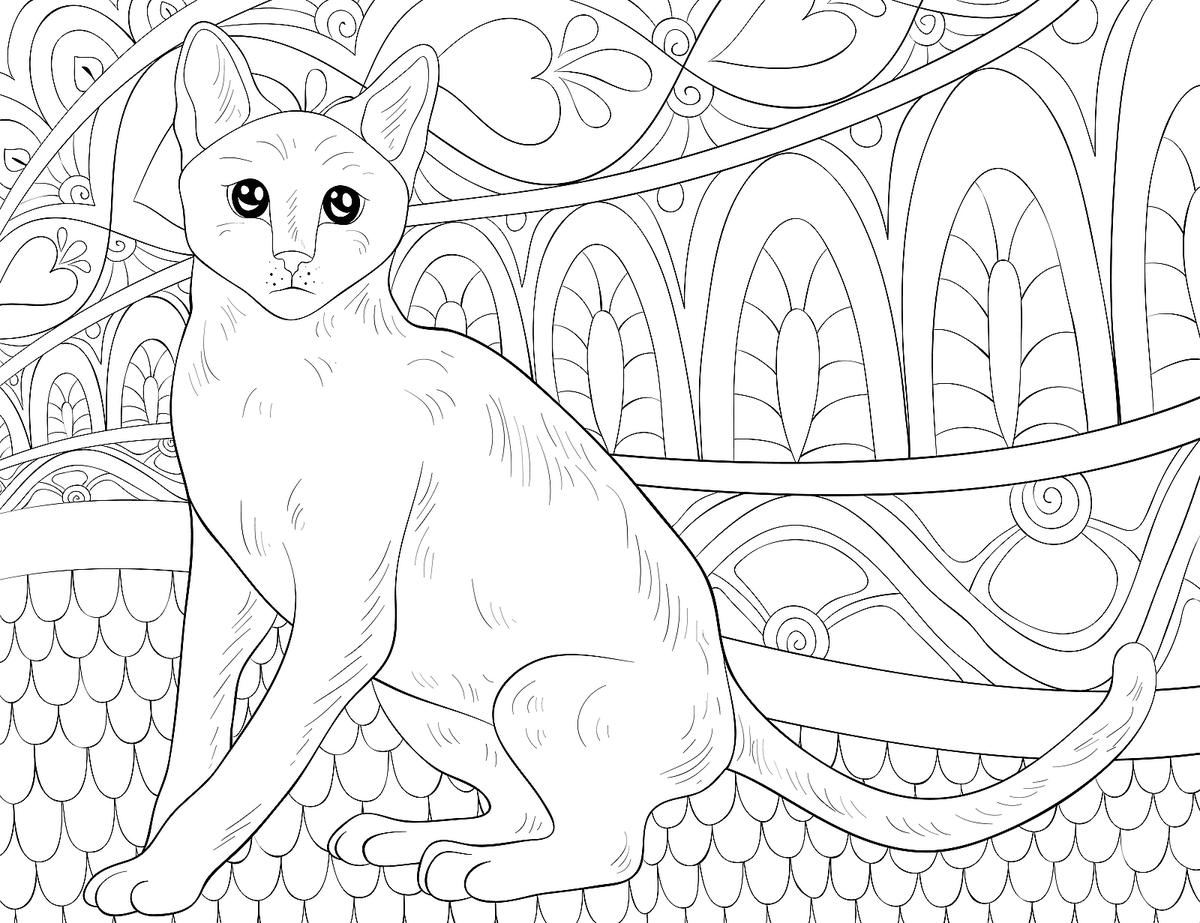 cat coloring pages to print