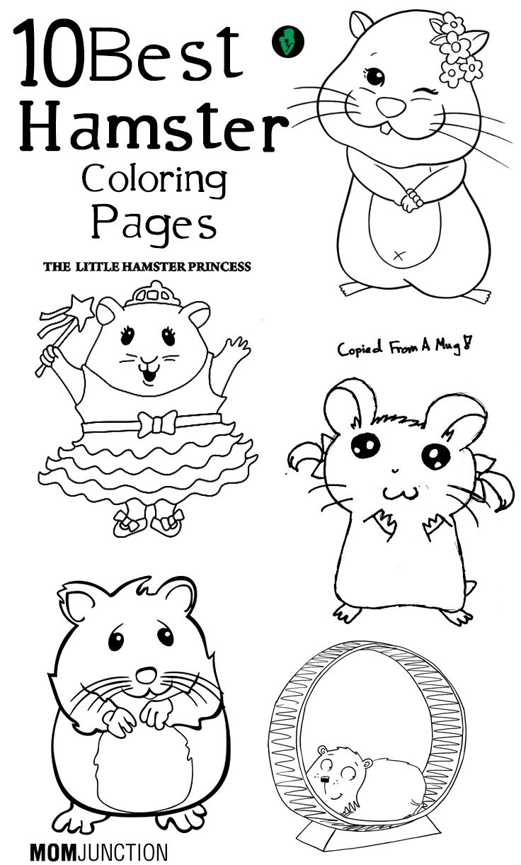 hamster pictures to color hamster pictures to color
