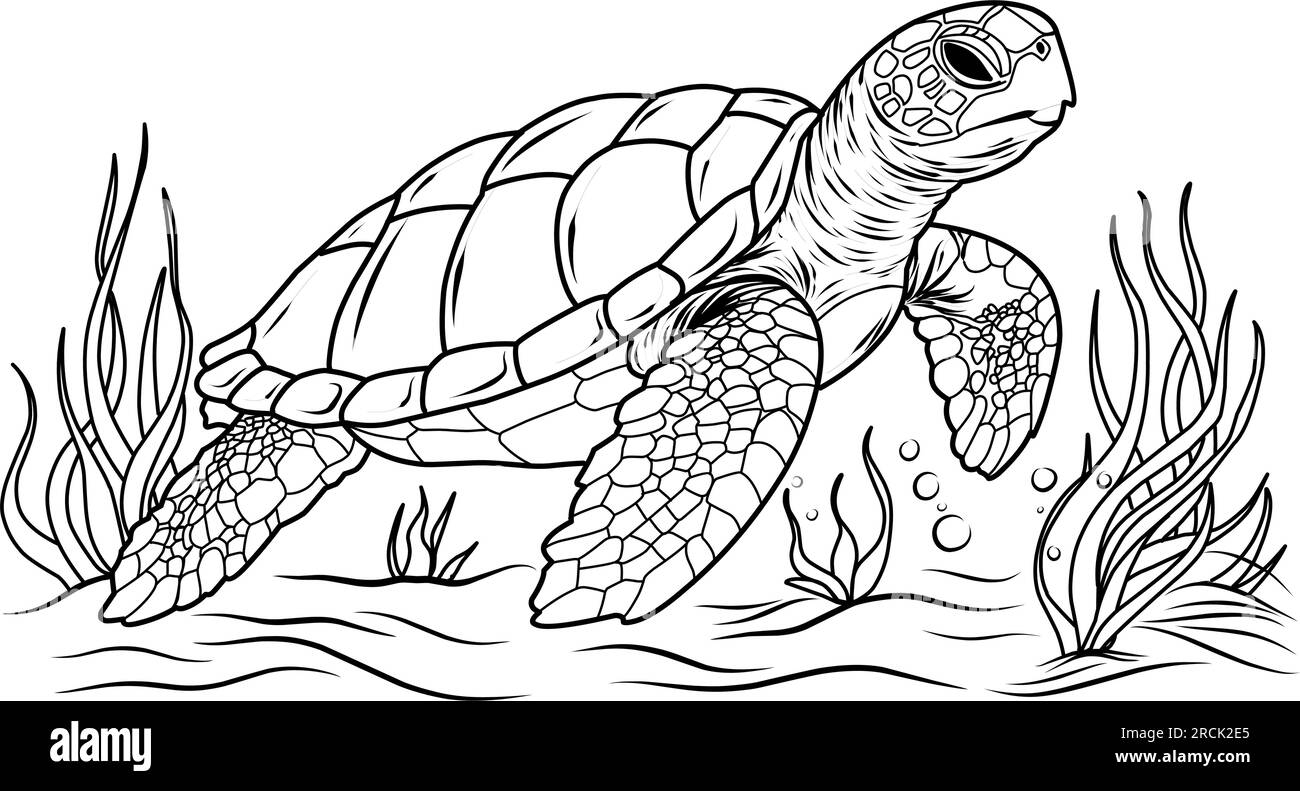 Cute Turtle Coloring Pages For Adults Black And White Stock Photos Images Alamy Cute Turtle Coloring Pages For Adults Black And White Stock Photos Images Alamy