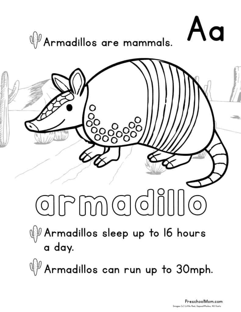 Desert Animal Coloring Pages Preschool Mom