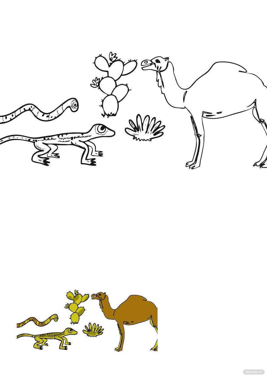 Desert Animals Coloring Pages In PDF Download Template