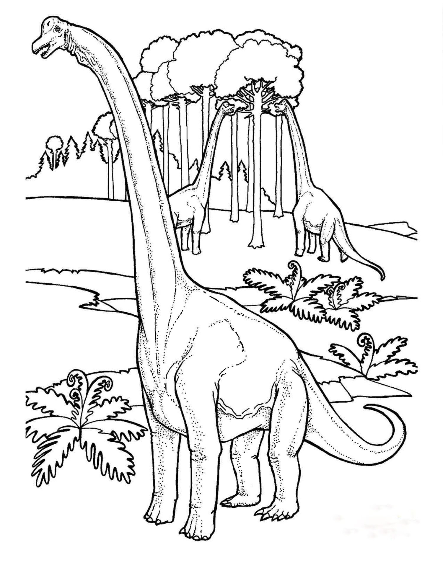 Dinosaur Coloring Sheets Seattle s Favorite Garden Store Since 1924 Swansons Nursery Dinosaur Coloring Sheets Seattle s Favorite Garden Store Since 1924 Swansons Nursery