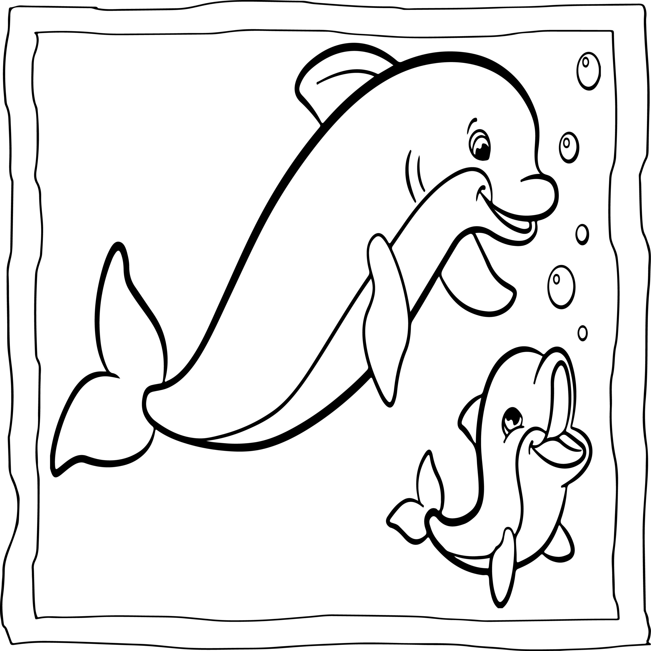 Dolphin Coloring Book Easy And Fun Dolphins Coloring Pages For Kids Made By Teachers Dolphin Coloring Book Easy And Fun Dolphins Coloring Pages For Kids Made By Teachers