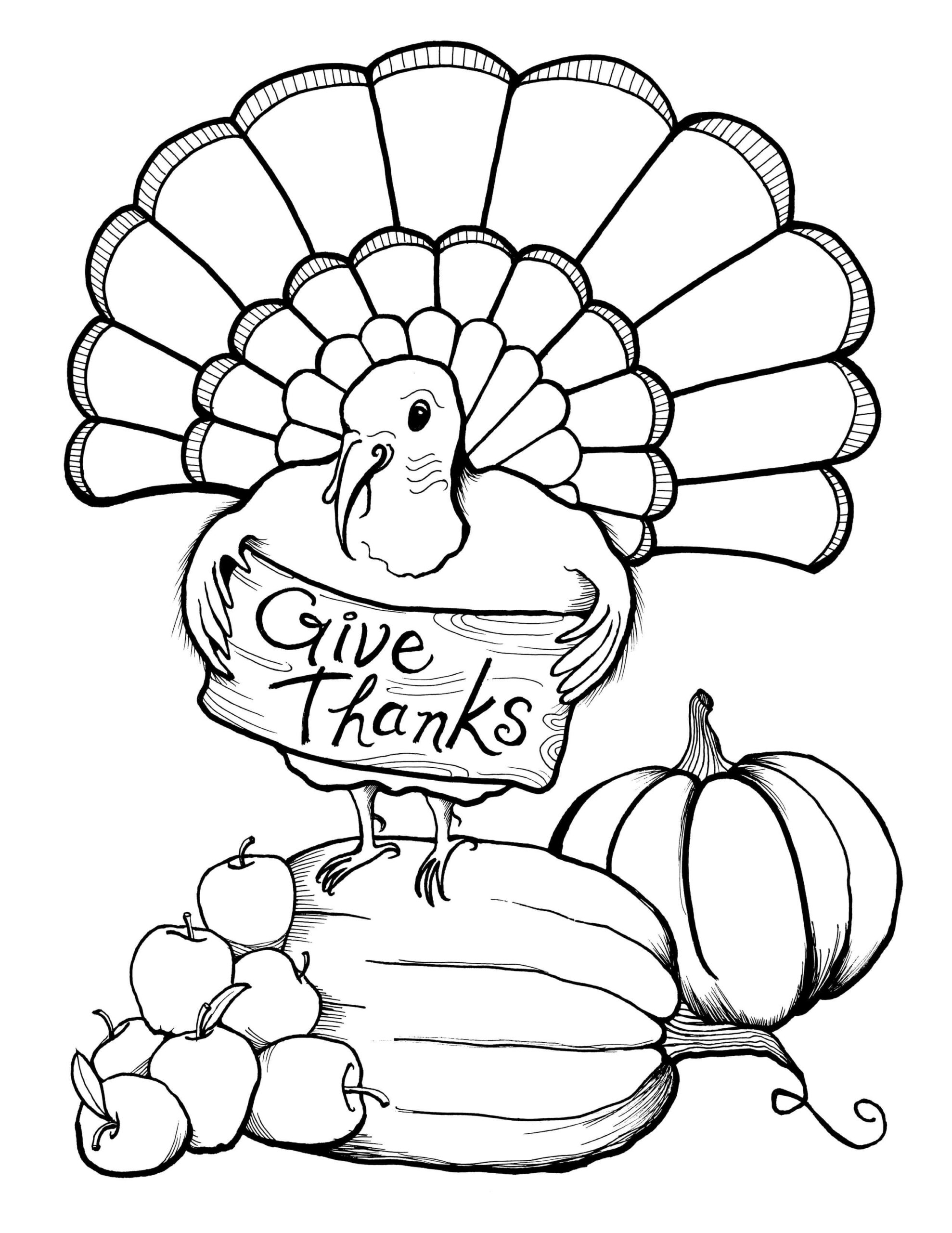 Easy Thanksgiving Coloring Book Large Print Designs