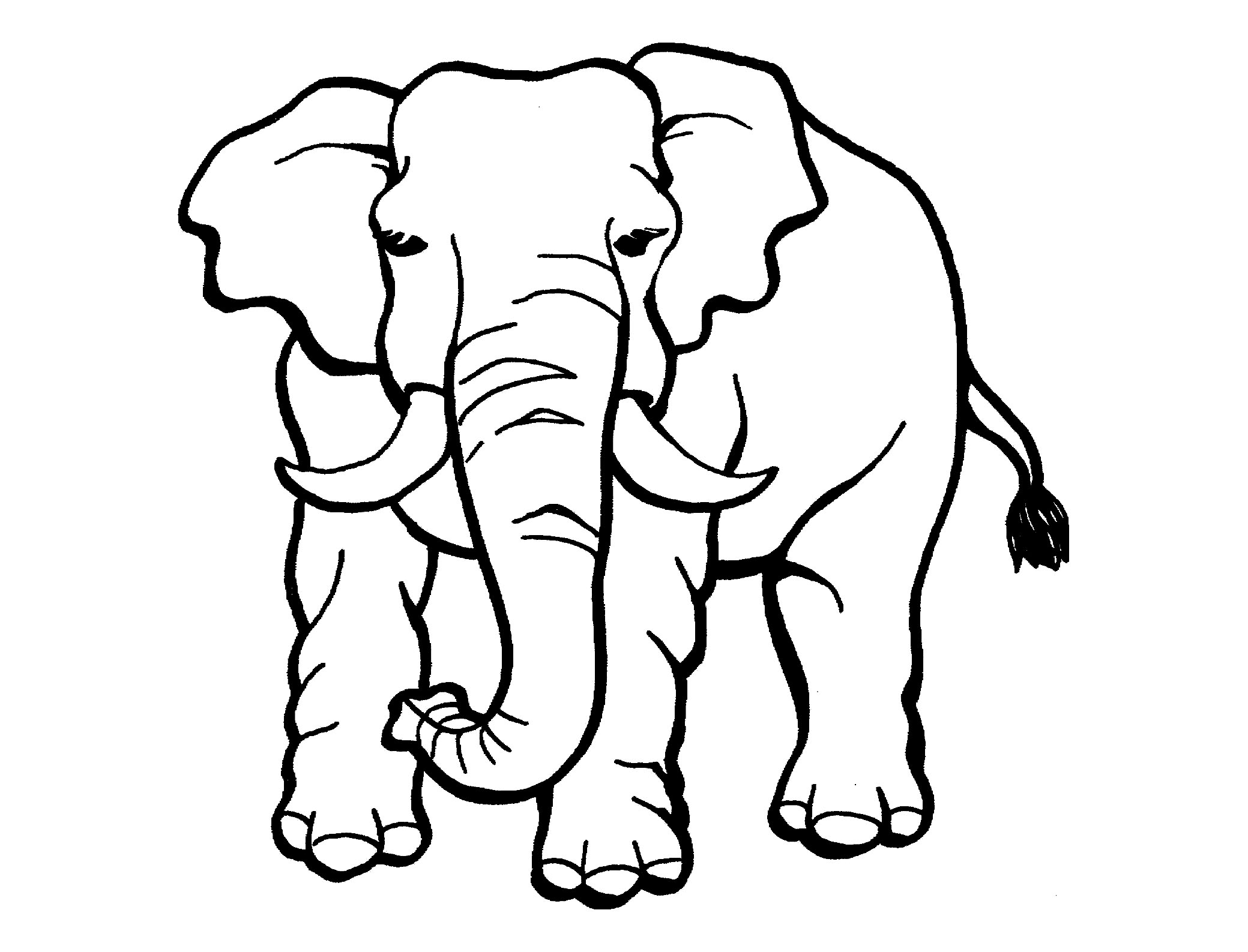 Elephant Image To Print And Color Elephant Coloring Pages Elephant Image To Print And Color Elephant Coloring Pages