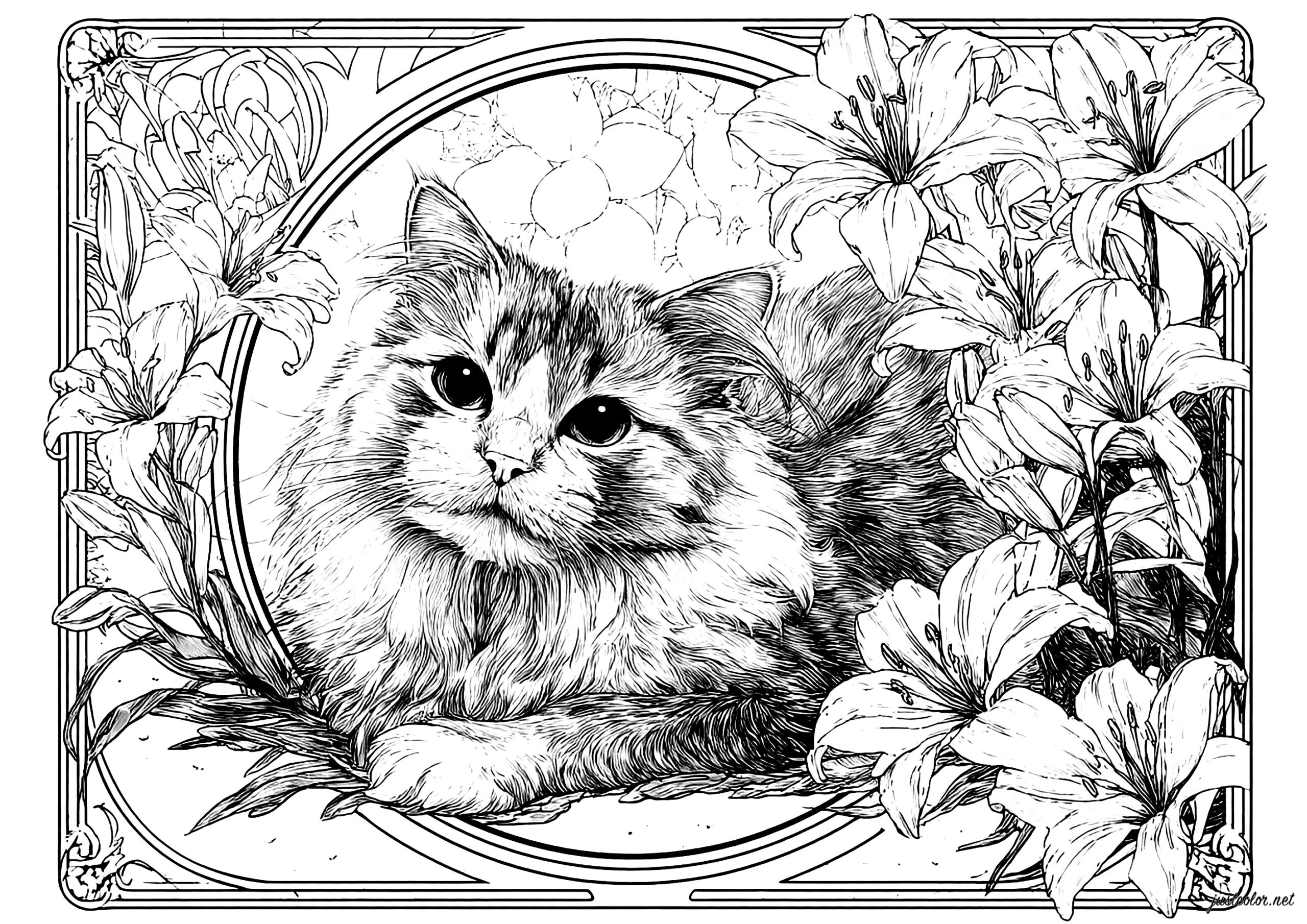 cat pictures coloring pages cat pictures coloring pages