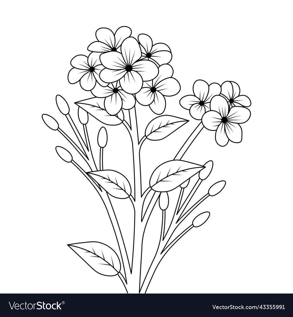 Flower Coloring Page Line Art Collection Graphic Vector Image Flower Coloring Page Line Art Collection Graphic Vector Image