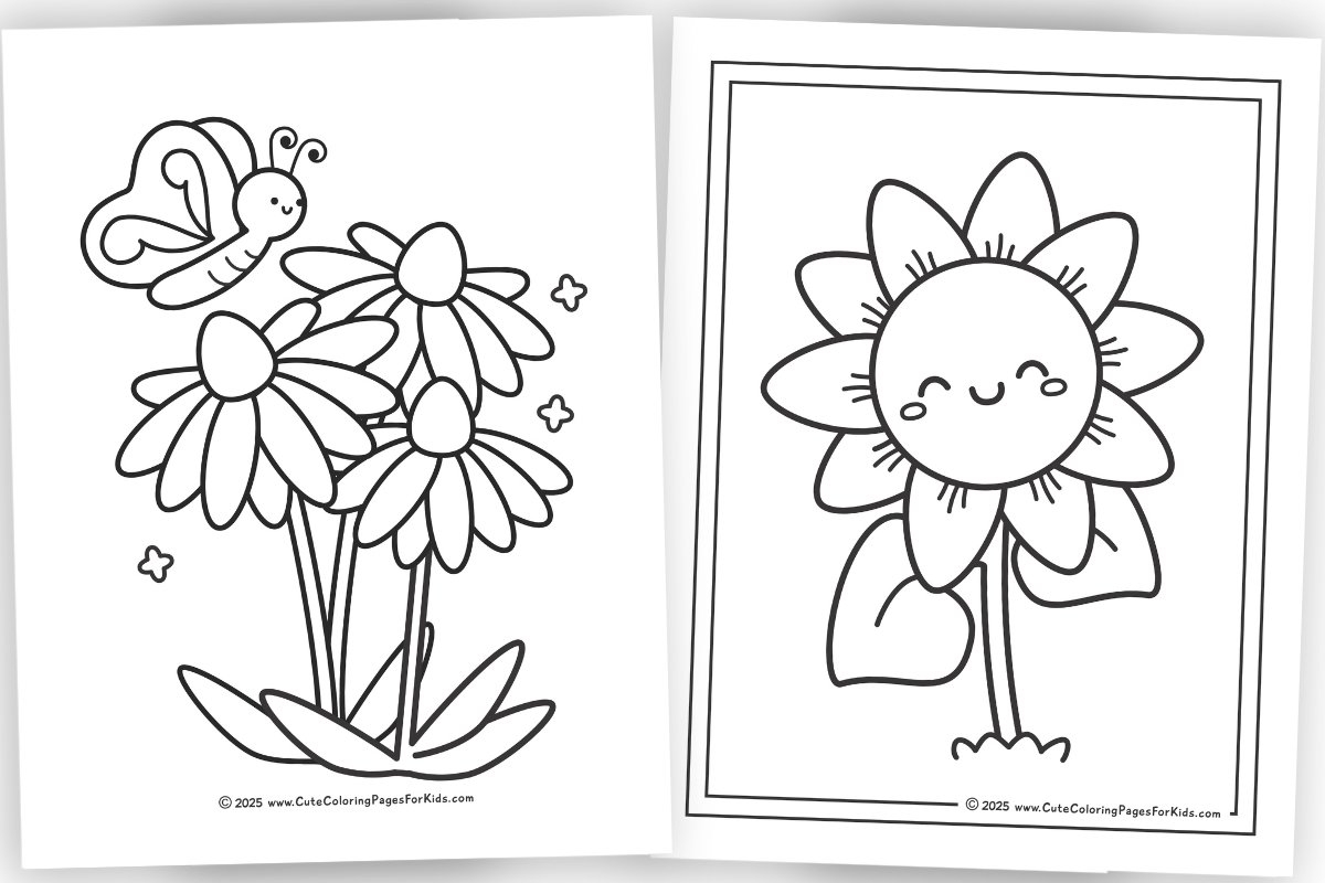 color sheets of flowers color sheets of flowers